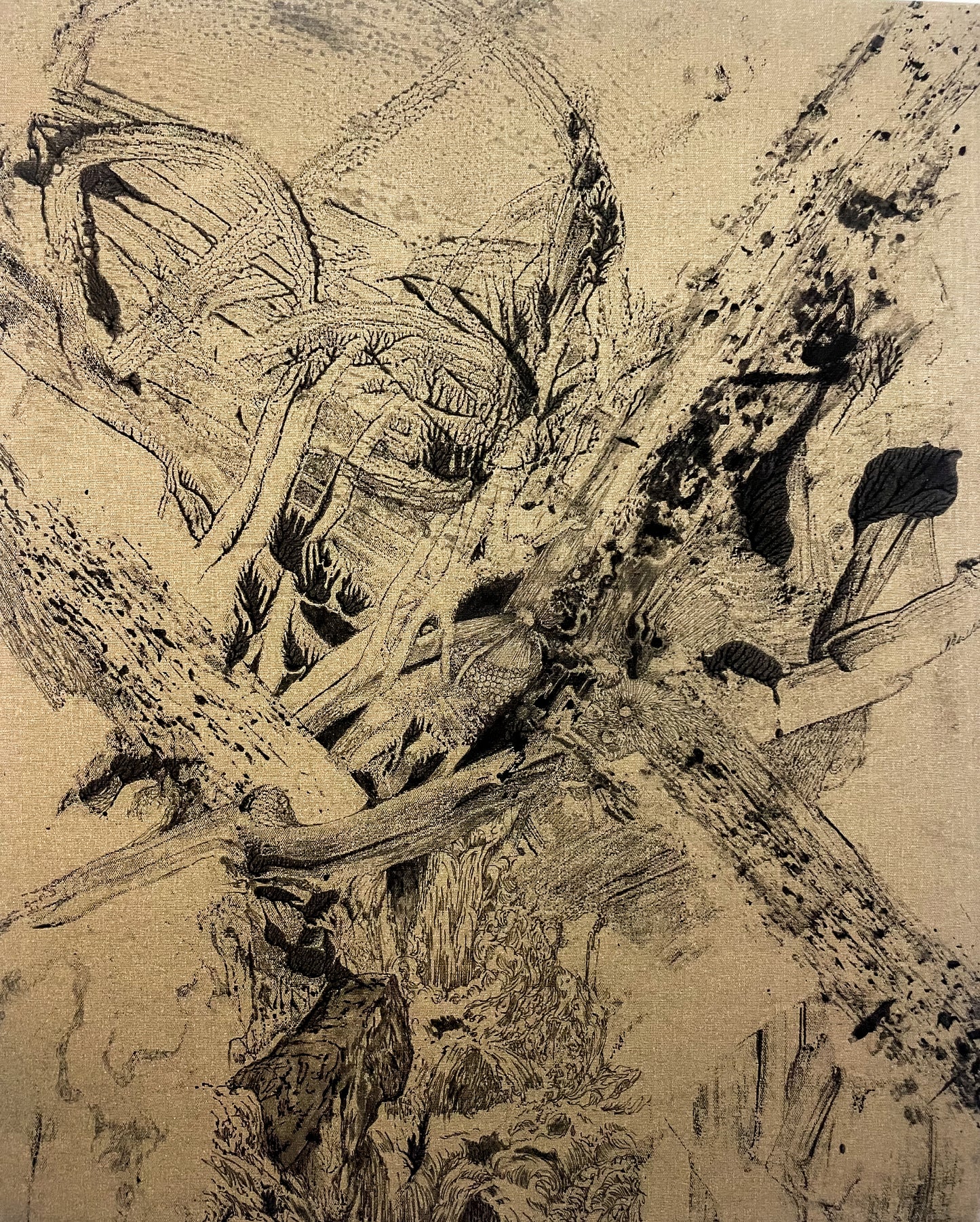 Laska - Bientôt disponible