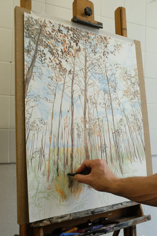 Dessin Crayon de cire amatxi nature
